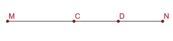 Построенный отрезок MN с точками C и D