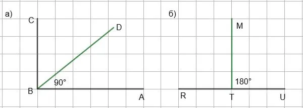 Биссектрисы прямого и развернутого углов